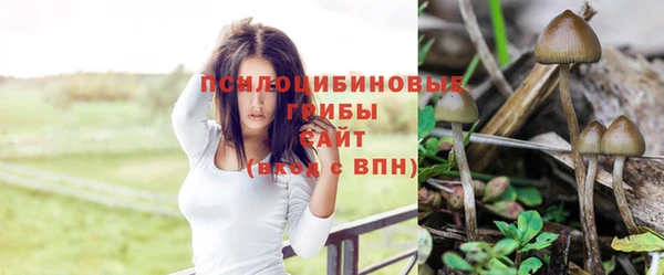 кокс Армянск