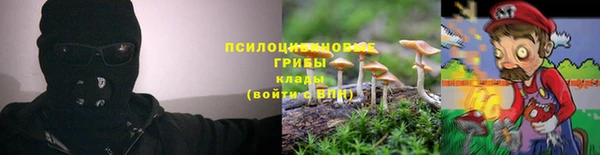кокс Армянск