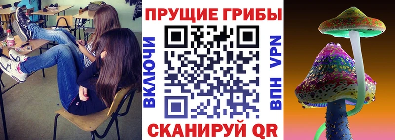 Галлюциногенные грибы мухоморы  Купить  Боровичи 