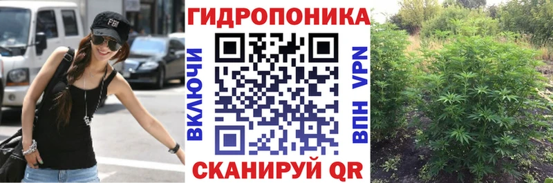 Бошки Шишки MAZAR  Купить где  Боровичи 